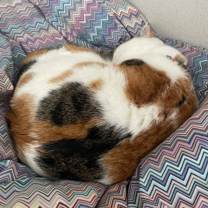 B99b9de3 2751 4eac 85a1 082f3ba7744c 1615679507239