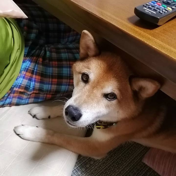 B99be4e2 8528 4d8a b4f5 db45acef07d1 1595245386176