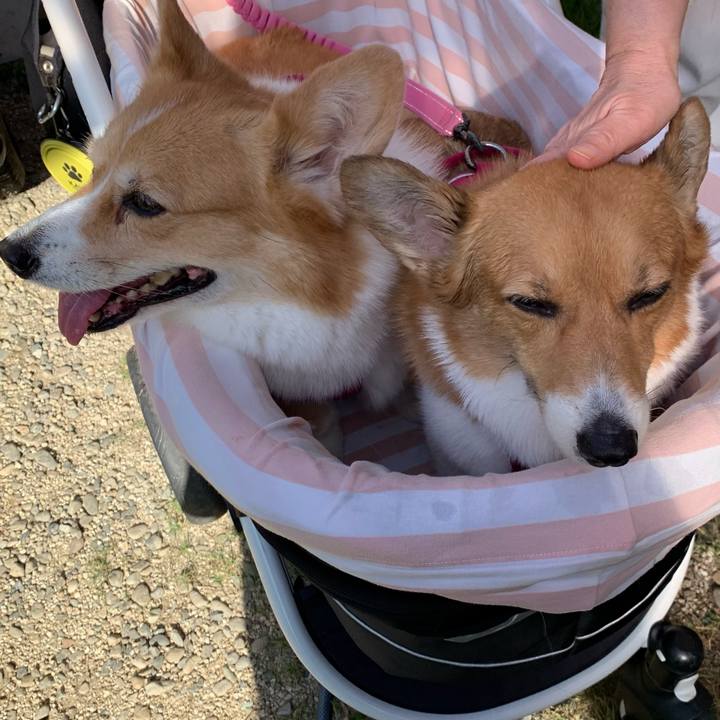 B99c0349 1e73 4558 90d6 2290d8c36b7b 1696217338053