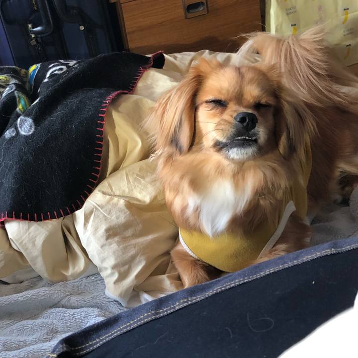 B99c0bbf 7d7c 4ecc 85f4 3234b08a87a2 1521959503025