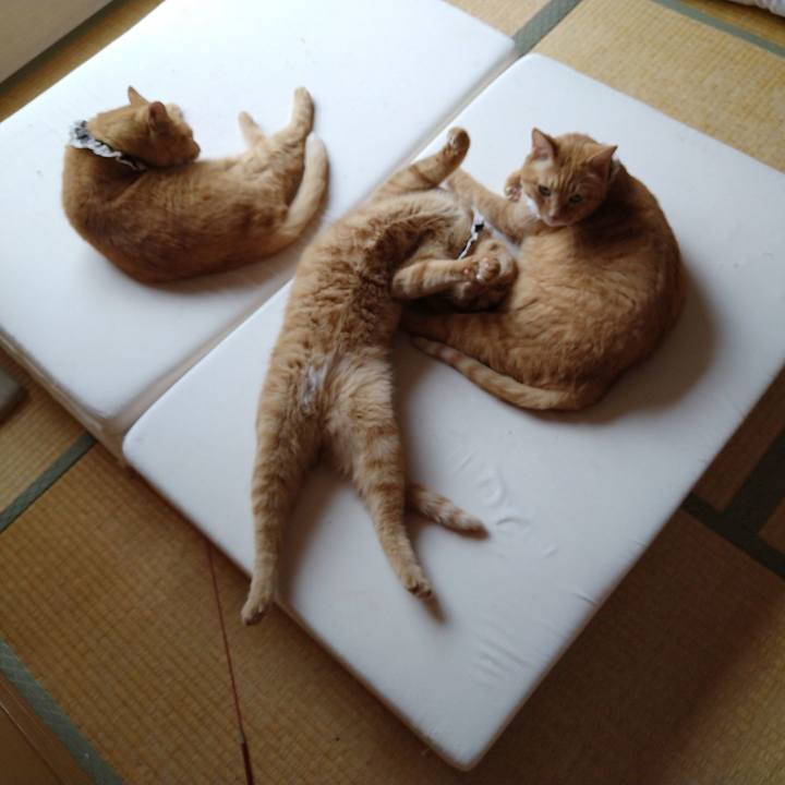 B99c4b22 7611 43bf 8429 8bc0d2435da9 1601181575767