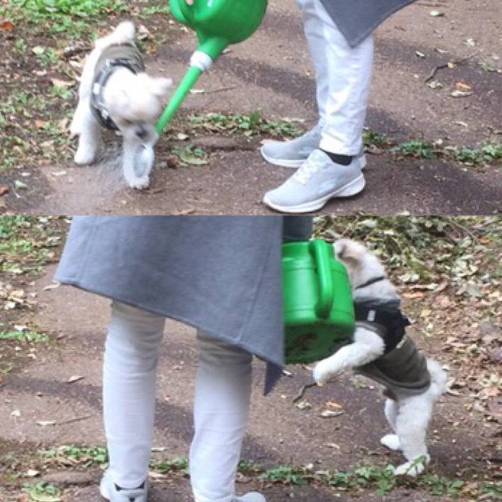 B99c6016 0539 42a7 a254 440e37d286b0 1510138401078