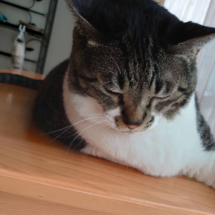 B99ca7c9 0263 43c1 a7fa e2faefefd396 1598951491844