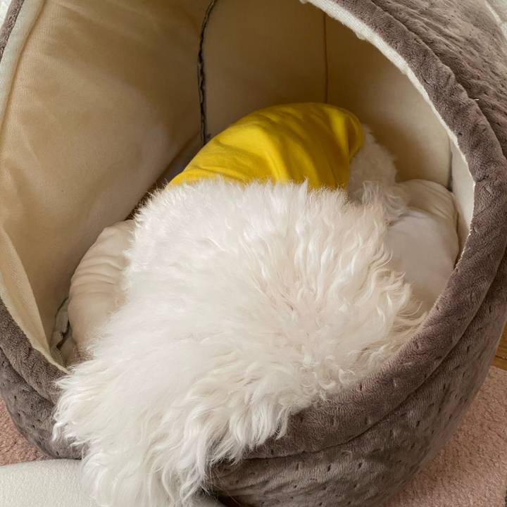 B99cb749 d3f0 4032 9433 28f8a06a545d 1728626312677