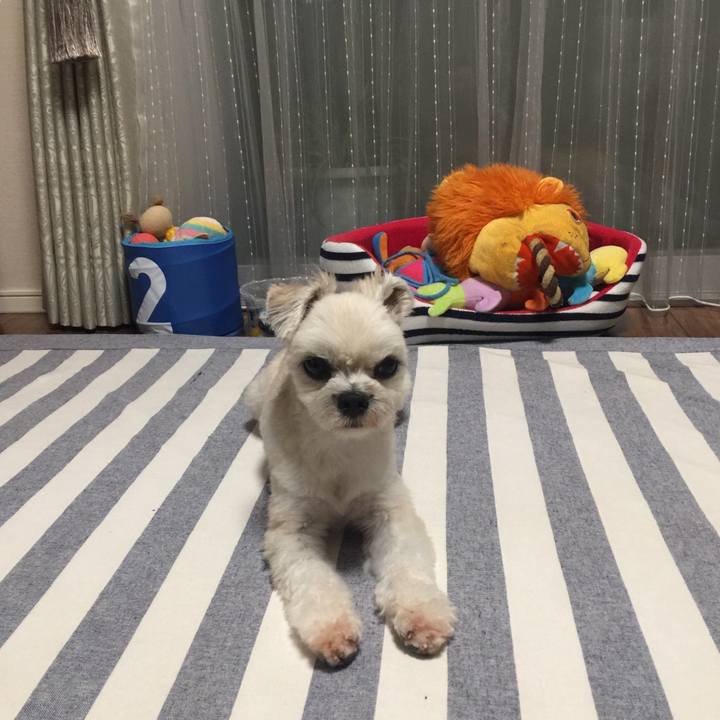 B99cd452 5b52 439b 817d 619a6a35e7d3 1538479017360