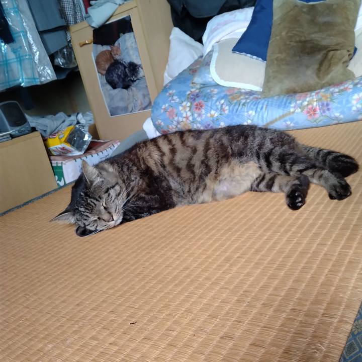 B99cd46f 7cbc 444d b6f7 2aadaca64cf8 1720394605752