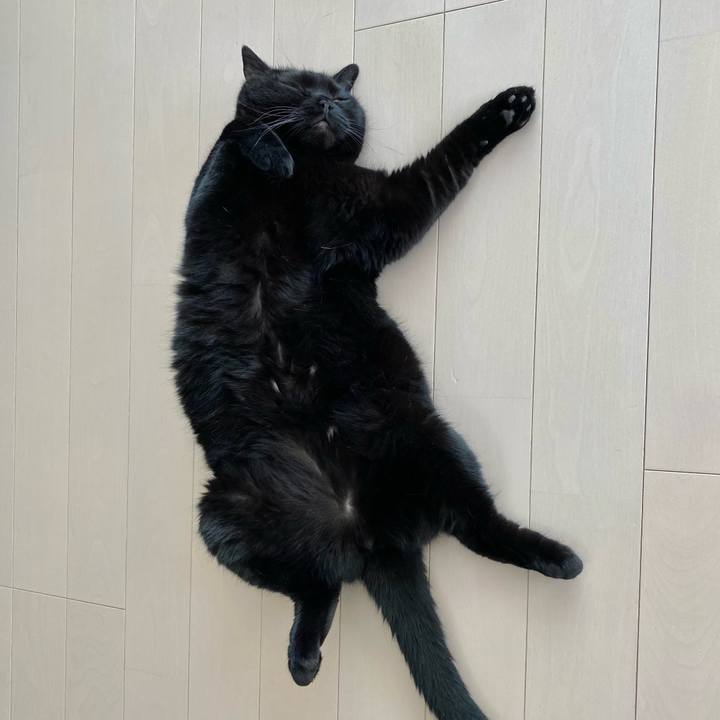 B99d315b 7e48 42f3 ad0b 63e5de038ff9 1655711581422