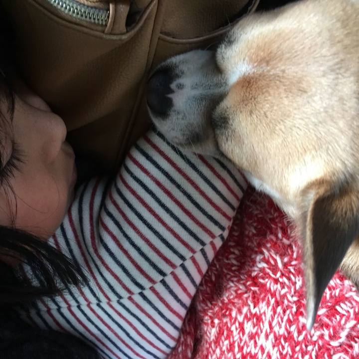 B99d3615 3c78 4f44 8dd8 f28bcc95f1ef 1514460082050