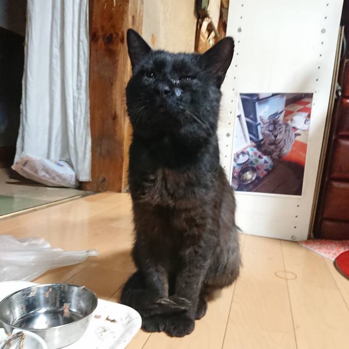 B99d5f2b 1e71 42bb ab90 bee29d3a2939 1624880085565