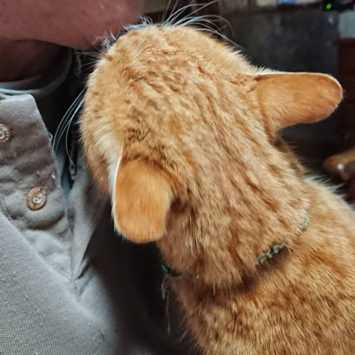 B99d6206 c59a 4918 afb6 f97323bc66c2 1580888360548