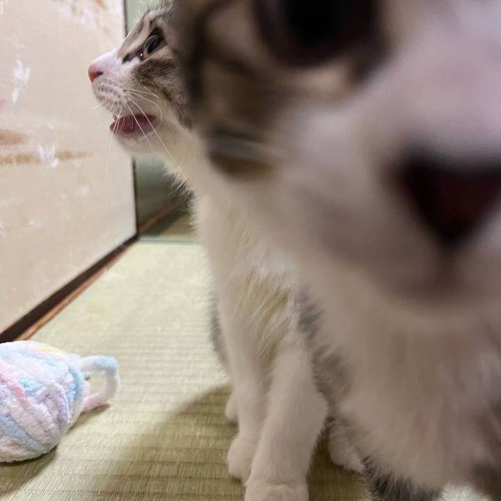 B99d7816 1c87 4396 bdea a122dd44c124 1689892866910