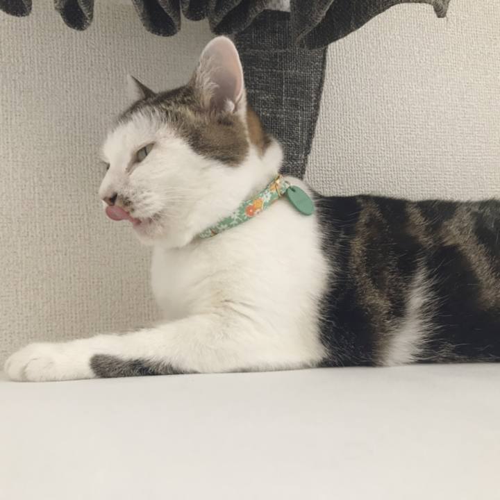 B99db1b7 3c4e 412e 8a9d 814ea0998bfa 1564885977670