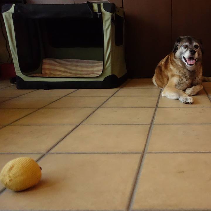 B99db944 1e8f 43be b5e1 e390d37ee4df 1639357290493