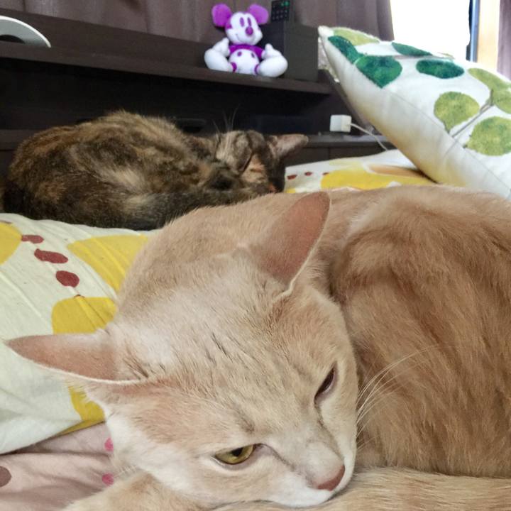 B99dc313 ea9f 4317 82f1 59e037181341 1535426957004