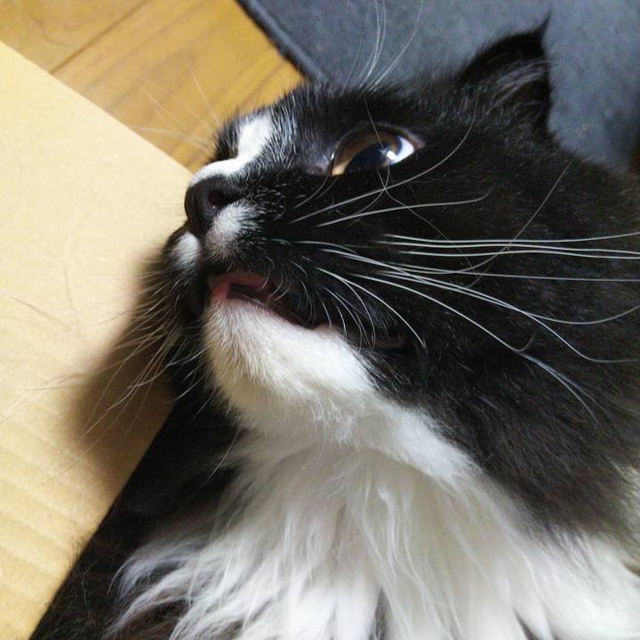 B99dcac3 be1d 418a b5f5 6a7abd643703 1654958896741