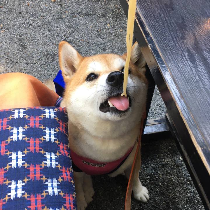 B99deaa6 305a 463e 8155 743ca57175c7 1612945092311