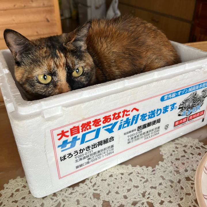 B99e0b73 2811 4a71 92c8 407a917e8066 1738288318451