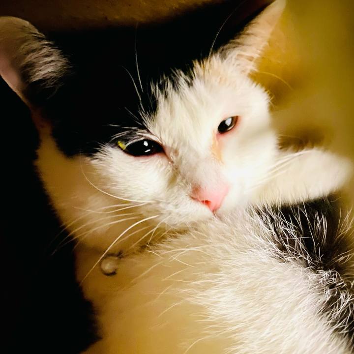 B99e12d3 a88d 454f a2aa e1a7acbc7c48 1679315937968