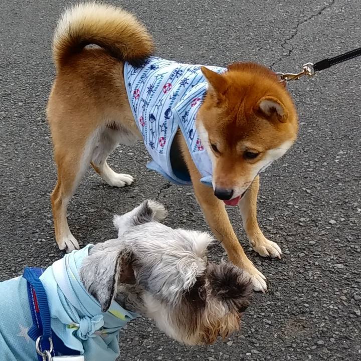 B99e500f c596 4bd4 b09f 39874891318c 1627449238592