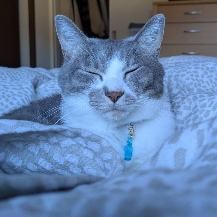 B99e7509 c132 40ac 8713 1a996fa0827b 1732498818536