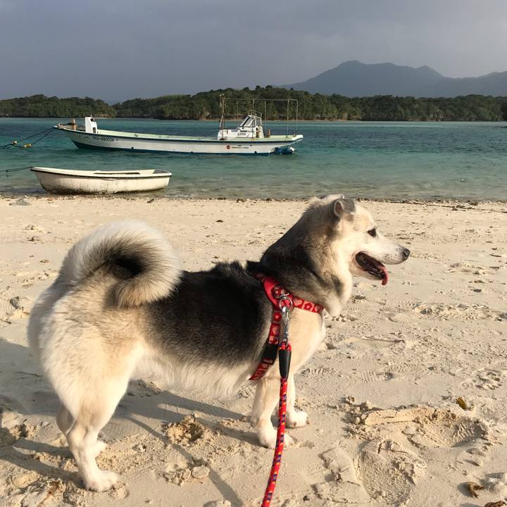 B99e9512 32c9 4125 abe9 489c0b44952b 1576153666604