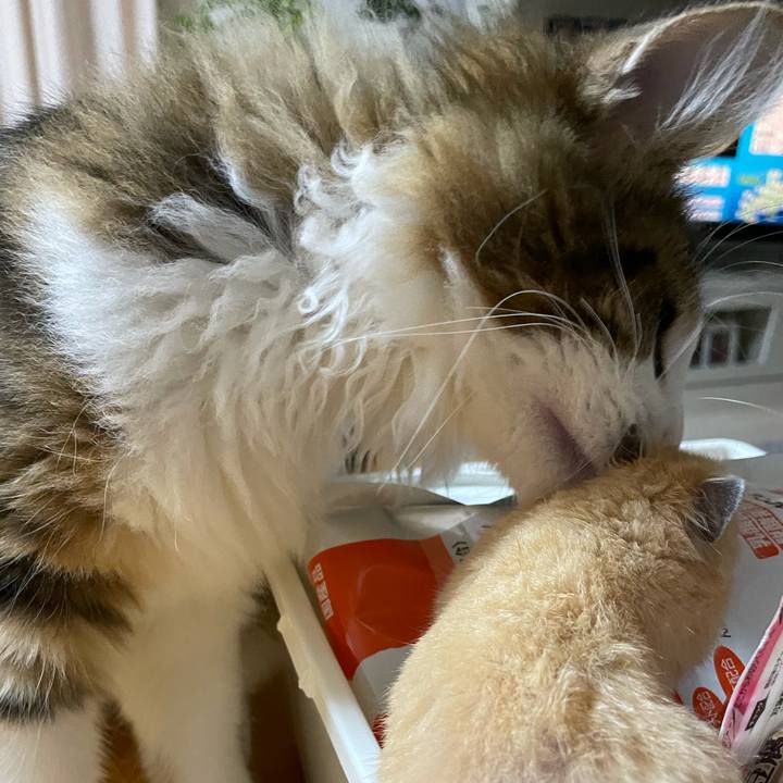 B99f05f7 cdbc 43c2 8e6b 6c72dbf583d4 1636663823905