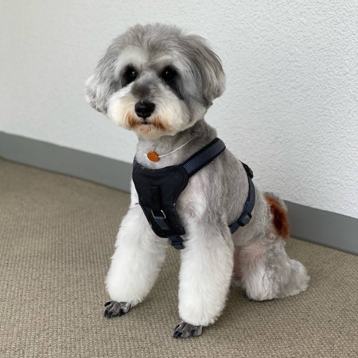 B99f1892 cb94 44a8 b516 0f780fd115ae 1648179433775