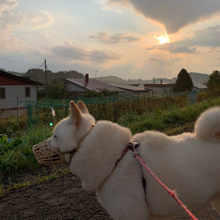 B99f5349 5847 4834 ad85 3712b0ed7e7c 1599775945886