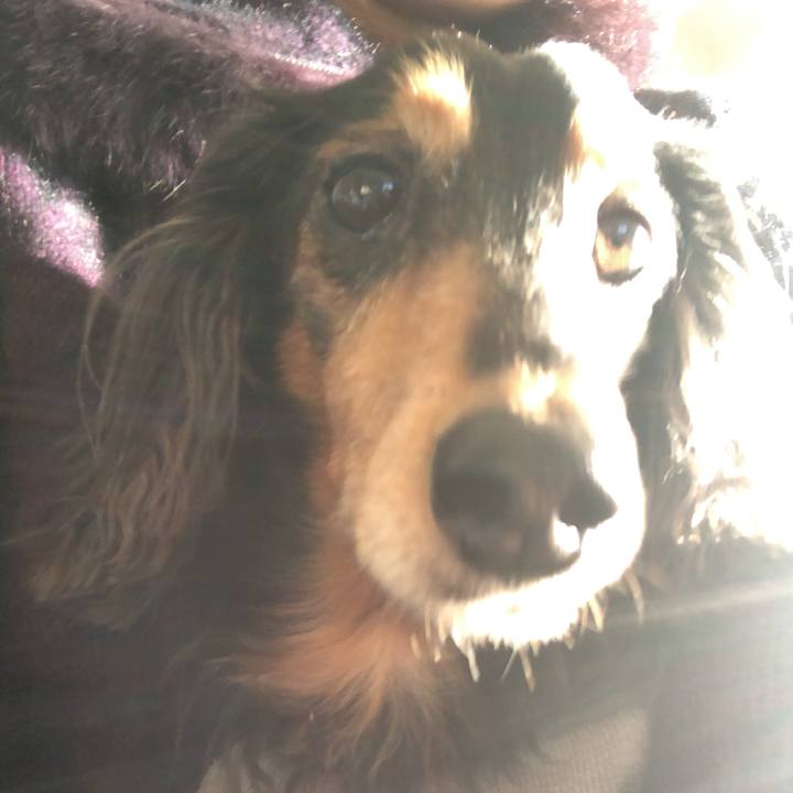 B99fd640 3e9c 42cb 8c46 87123f30a51a 1575762547478