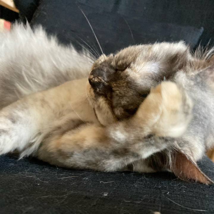 B99fff8d e0db 4cac 8f07 7566bd32b5ae 1752808455831