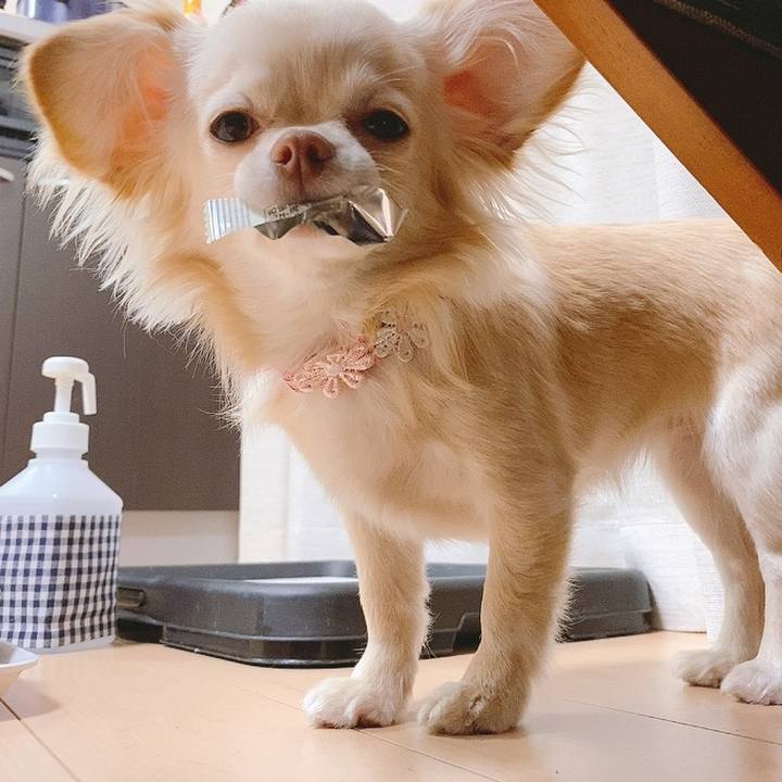 B9a0364c af99 4b41 aecb 27e75e48a302 1614987296990