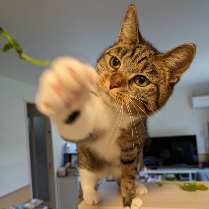 B9a04443 4a8c 452d a19e 69f6ba364529 1700819576627