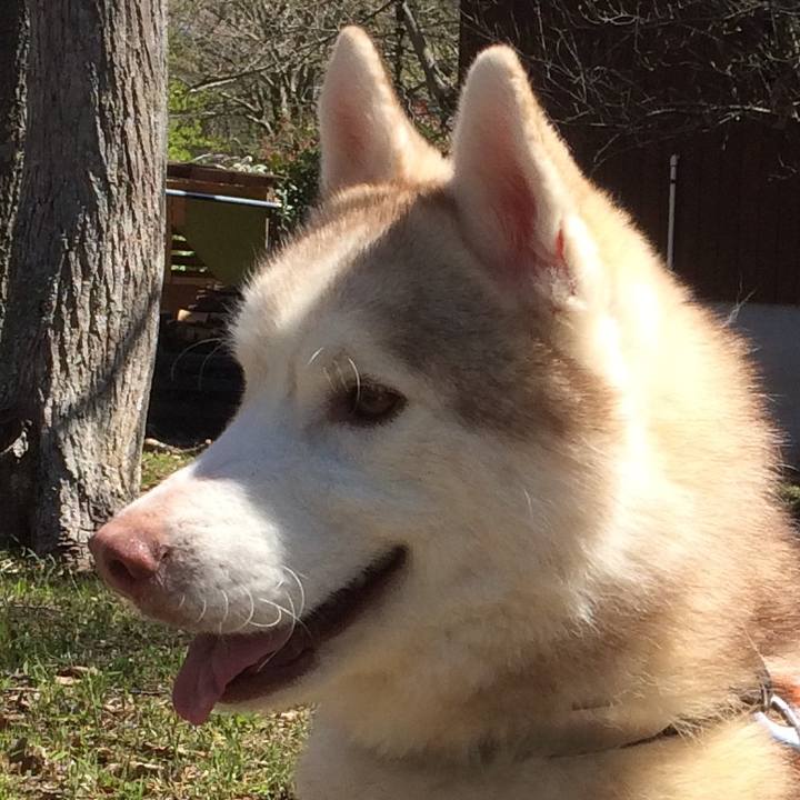 B9a04a1c 633b 4087 b317 bdb0d496cfd0 1554384495309