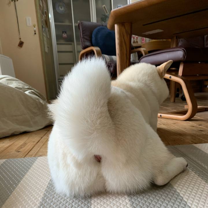 B9a058c0 205c 44ef 9a61 58a8dcd547c0 1586648577529