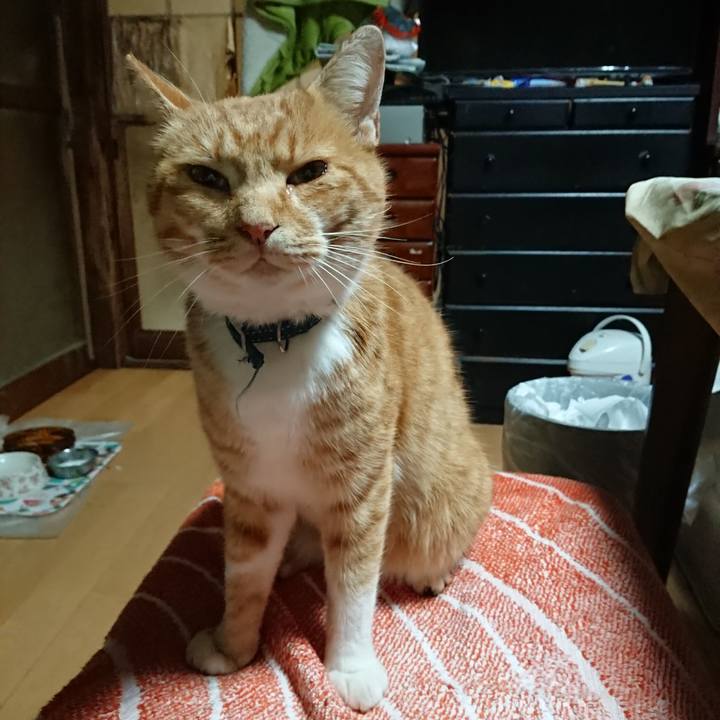 B9a08948 48ef 4645 9067 ca9a58e3900e 1604780491665