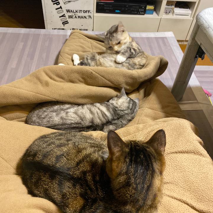 B9a0b305 5b41 4b79 ac9e 1ae16ccbc21c 1638218536921