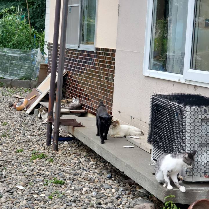 B9a0b5d2 fdb2 4282 b2a1 5a9fe50d57e2 1756128938908