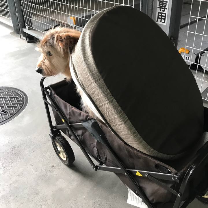 B9a0bb74 ac03 446c 9b1a 94832914ca90 1655362271070