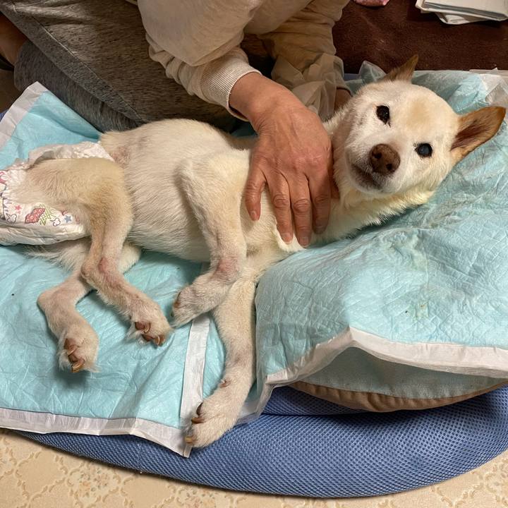 B9a0ecad 7d63 4850 839e d3b07acd4976 1679972667464