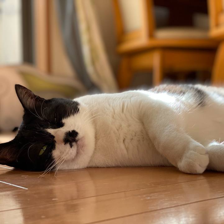 B9a126e3 4667 4969 bda5 e77786fadf42 1604541026985