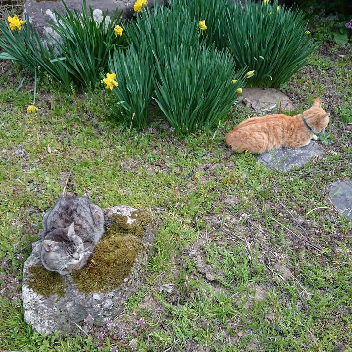 B9a132d4 ffc9 4ca3 a7de d171bae05c5b 1556095470639