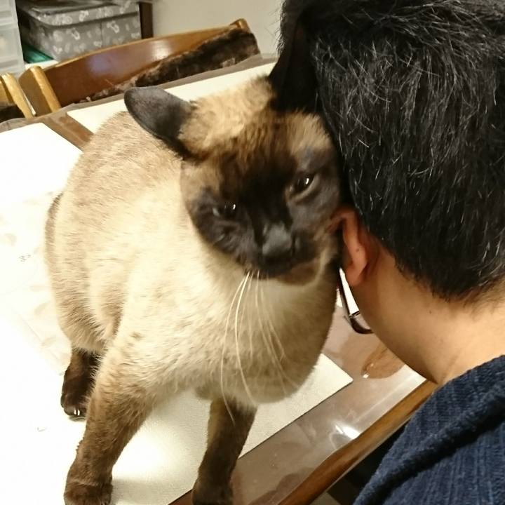 B9a14110 2746 4cc9 9e92 32f6bd26005f 1519560562470