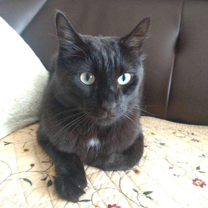 B9a18397 f11e 4e1e 87e7 28986fc25c8c 1757815594273