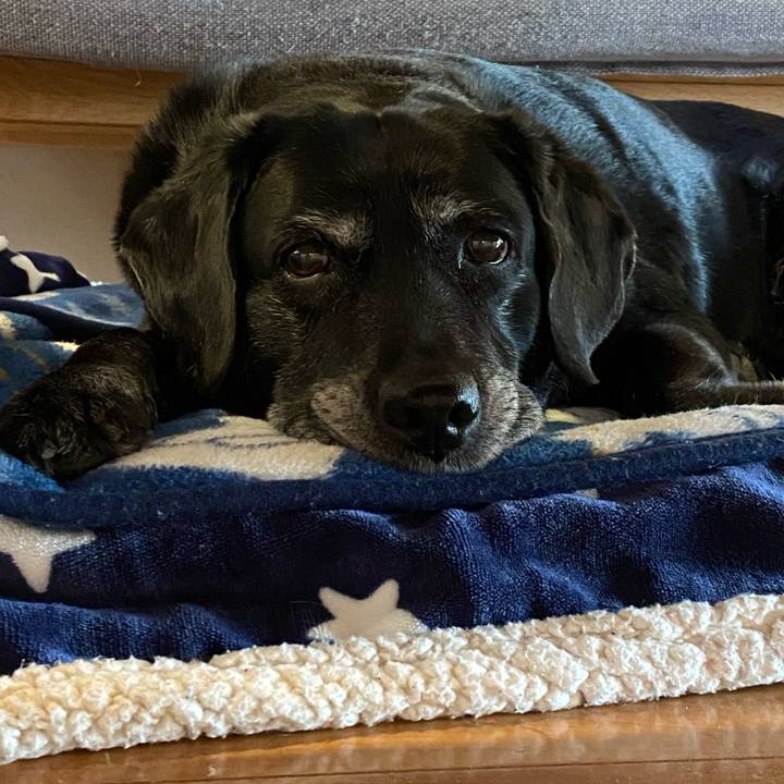 B9a19a22 ab9f 46ea 8ff8 7decc65d1646 1645927320526