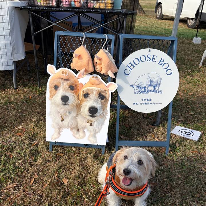 B9a1e27f 8c29 4bcc b1dd c61b03875961 1763279340558