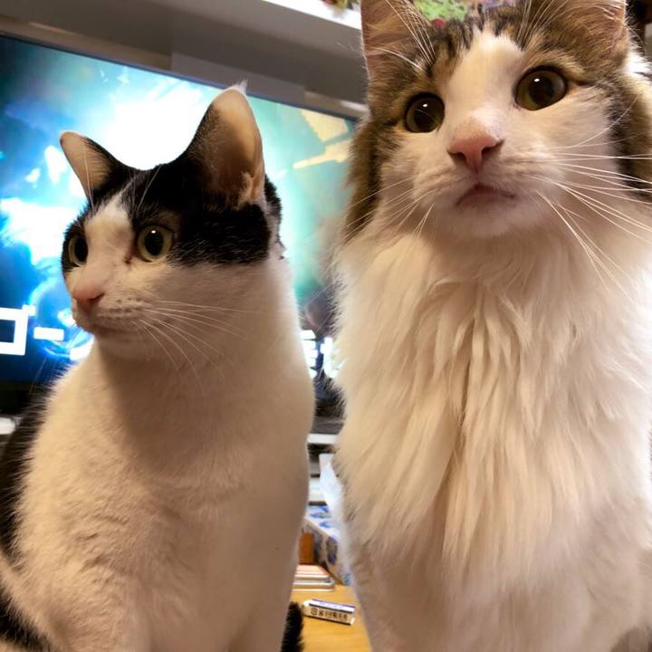 B9a1ec25 0ddc 49d5 93db 1ac27eda59ce 1575640833651