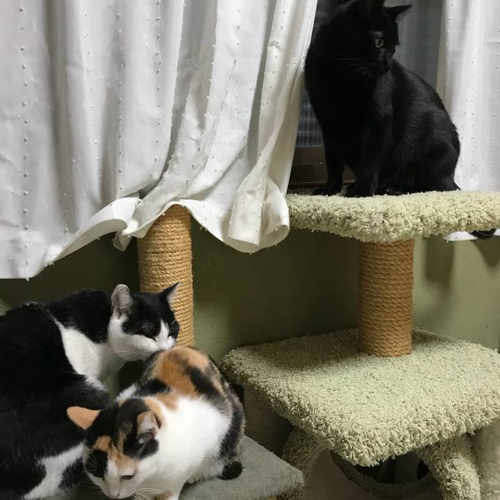 B9a20e30 e0d7 461d ba1b 5f38e70ea66c 1511226862636