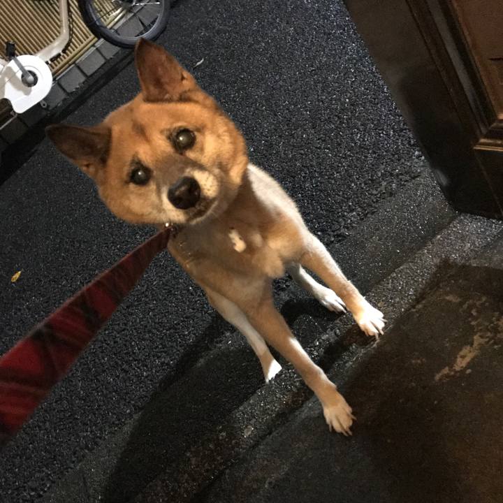 B9a21b8d 91c5 4cfb 8ce4 8e8d9ab23f2d 1508066213044