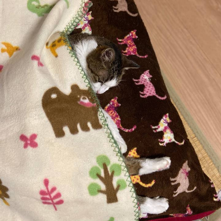 B9a221f4 c7f9 4a5b b846 57e098376127 1572089971277