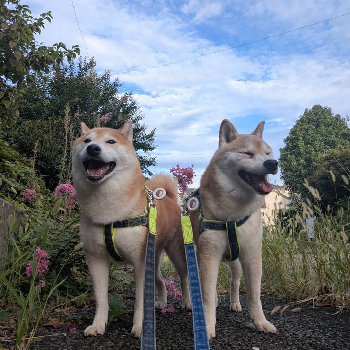 B9a2387f 6588 4096 a07d c6b8d4bb95ad 1757554366492